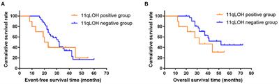 Impact of 11q Loss of Heterozygosity Status on the Response of High-Risk Neuroblastoma With MYCN Amplification to Neoadjuvant Chemotherapy